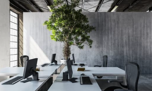 The Multifaceted Benefits of Clean and Organised Spaces for Employee Wellness