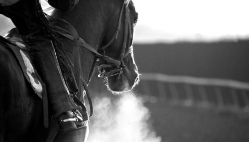 The Historic Challenge of Aintree