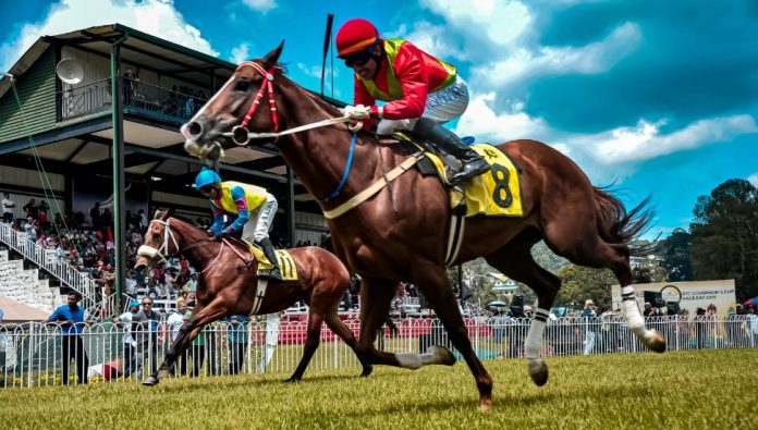 grand national