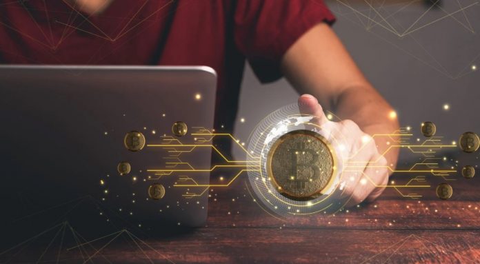 margex review